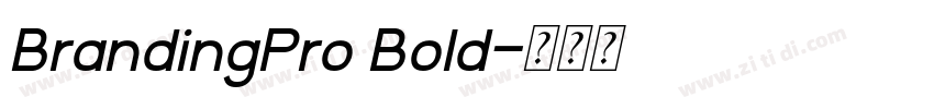 BrandingPro Bold字体转换